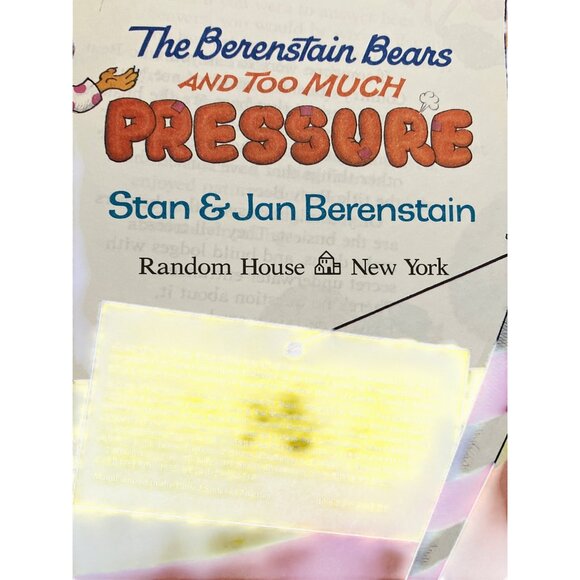 The Berenstain Bears First Time Readers Book Set of 4 books - Picture 4 of 10